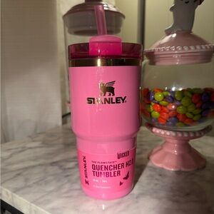 SOLD Stanley x Wicked 20oz - Glinda